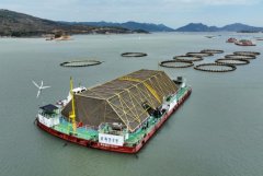 距离海岸两三公里的海域